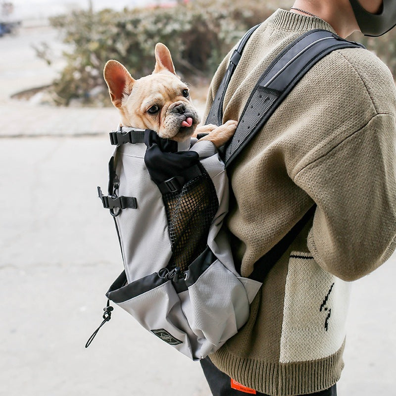 Cozy Travel Backpack for Happy Dogs on the Go