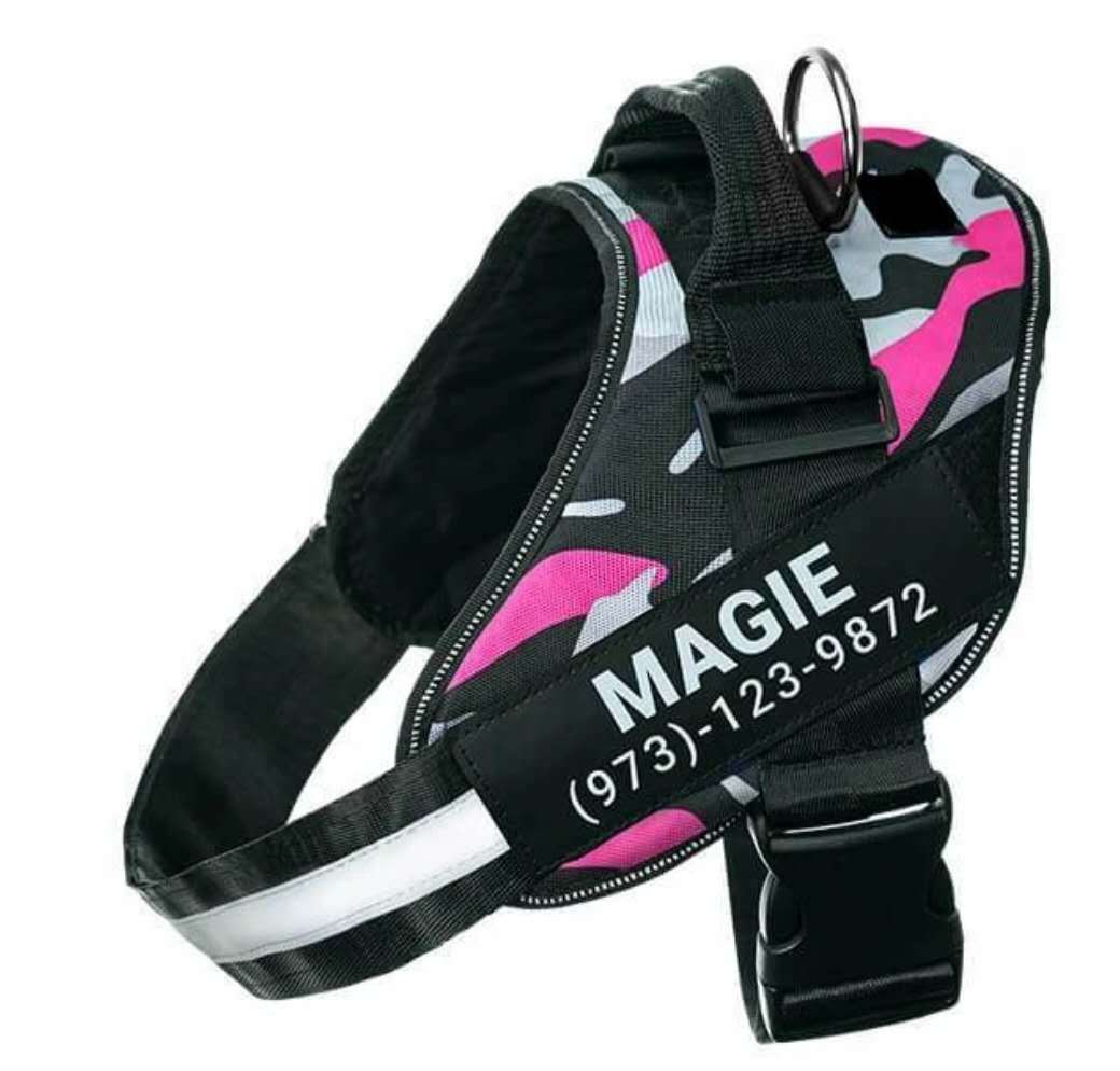 Personalized Reflective No-Pull Harness — Safe, Stylish Walks