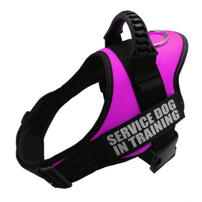 Personalized Reflective No-Pull Harness — Safe, Stylish Walks