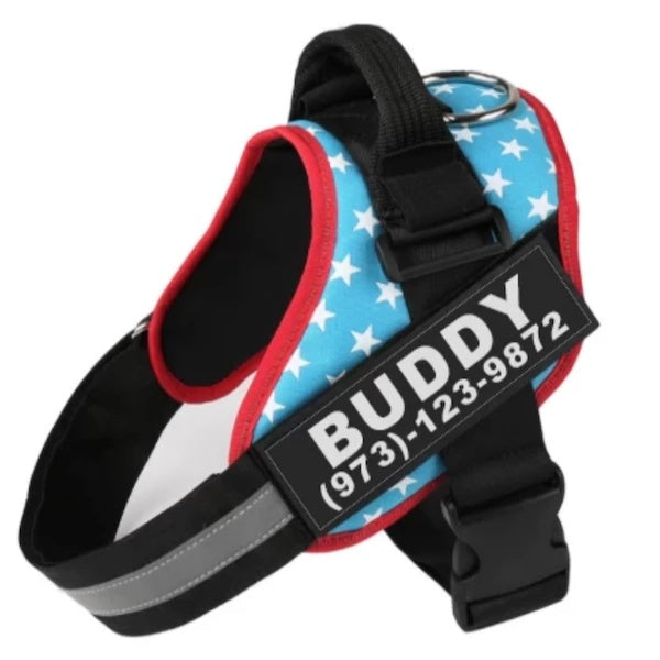 Personalized Reflective No-Pull Harness — Safe, Stylish Walks