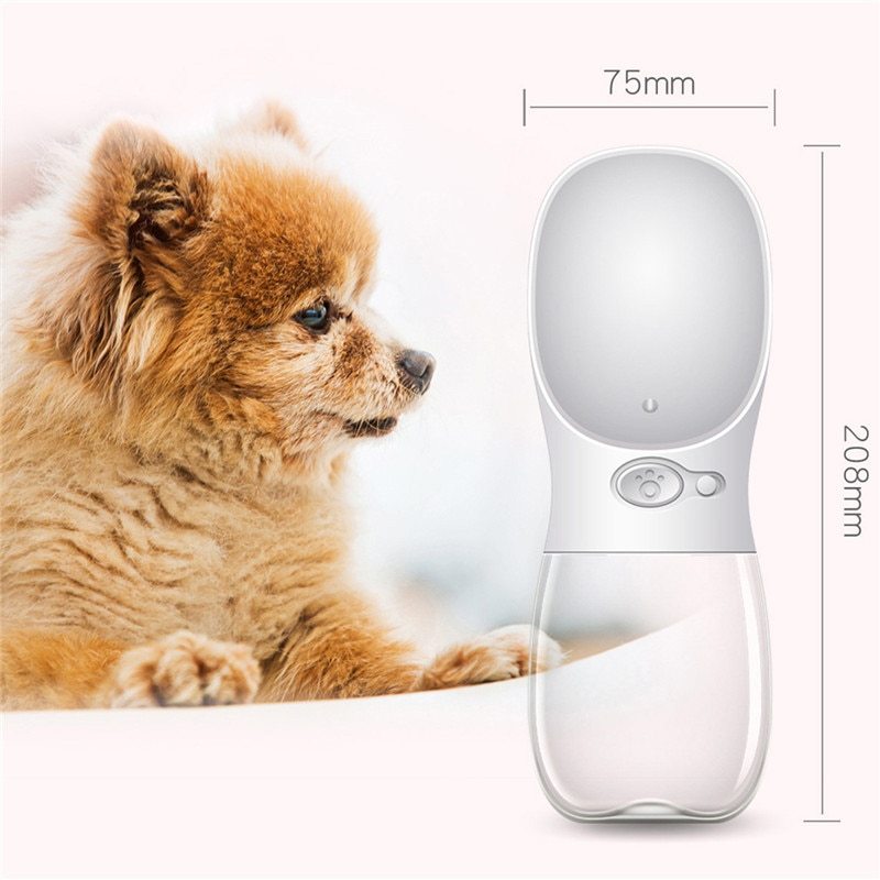 Fresh Water On-The-Go for Dogs & Cats