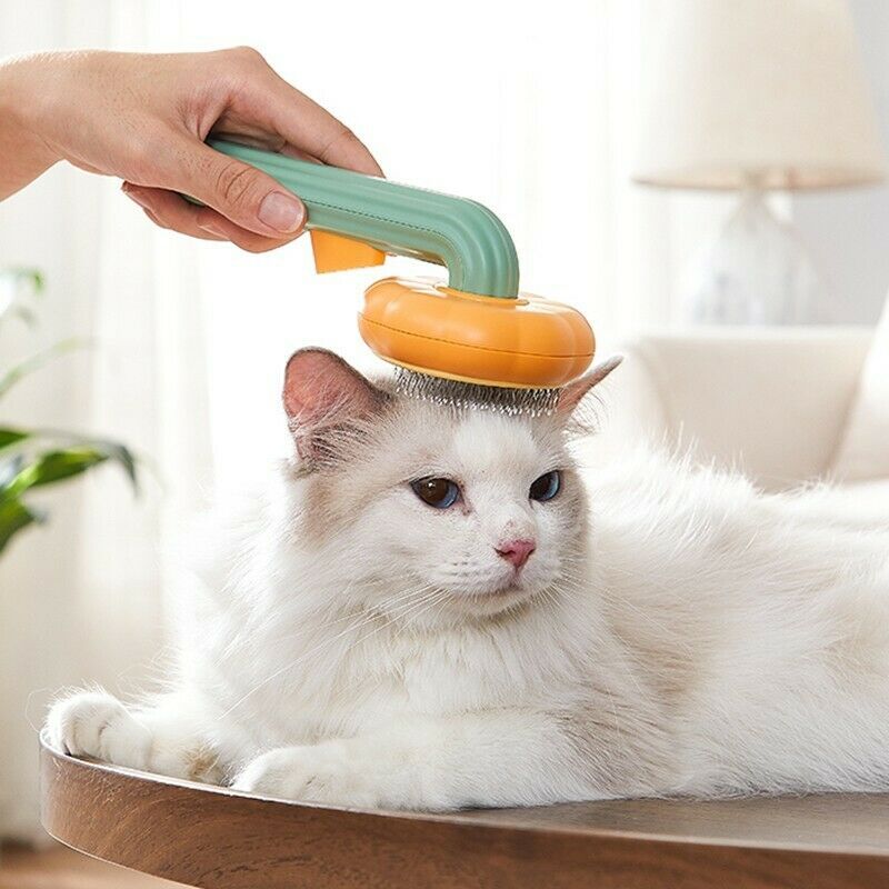 Pumpkin Self-Cleaning Brush — Pain-Free Grooming, Less Mess