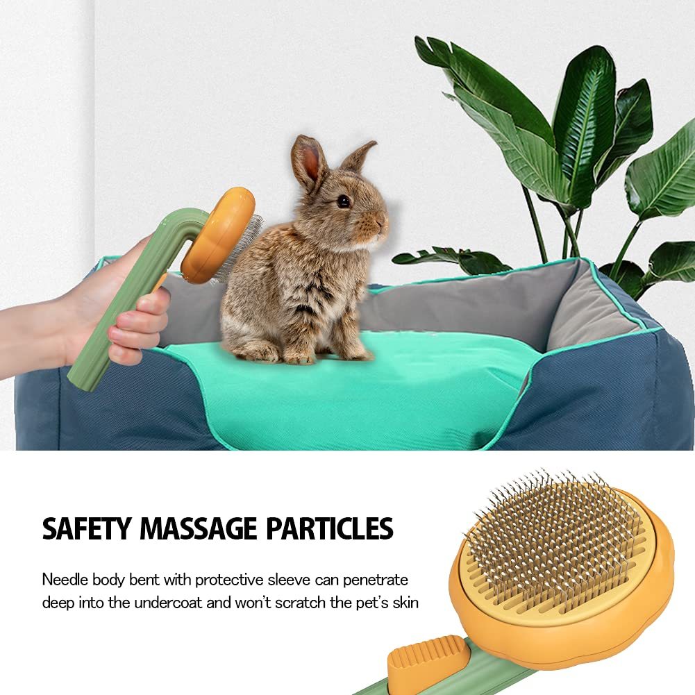 Pumpkin Self-Cleaning Brush — Pain-Free Grooming, Less Mess