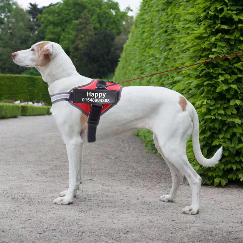 Personalized Reflective No-Pull Harness — Safe, Stylish Walks