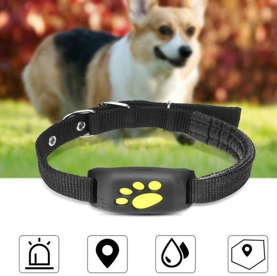 GPS Pet Tracker – Keep Your Pet Safe Anytime, Anywhere