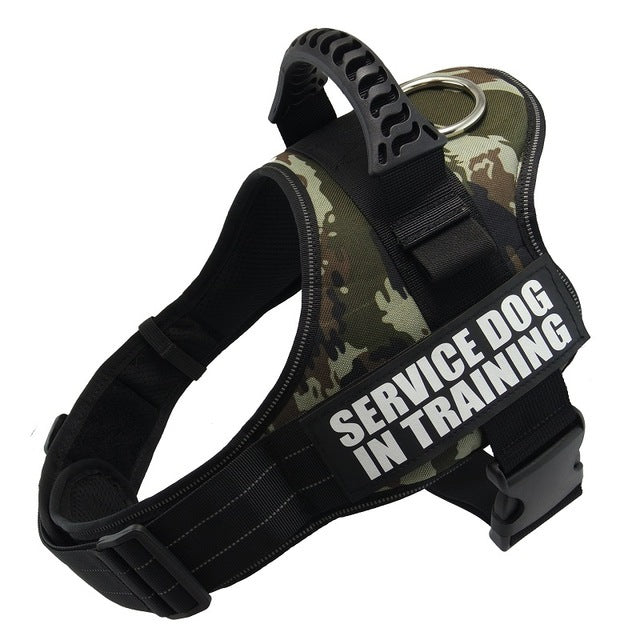 Personalized Reflective No-Pull Harness — Safe, Stylish Walks
