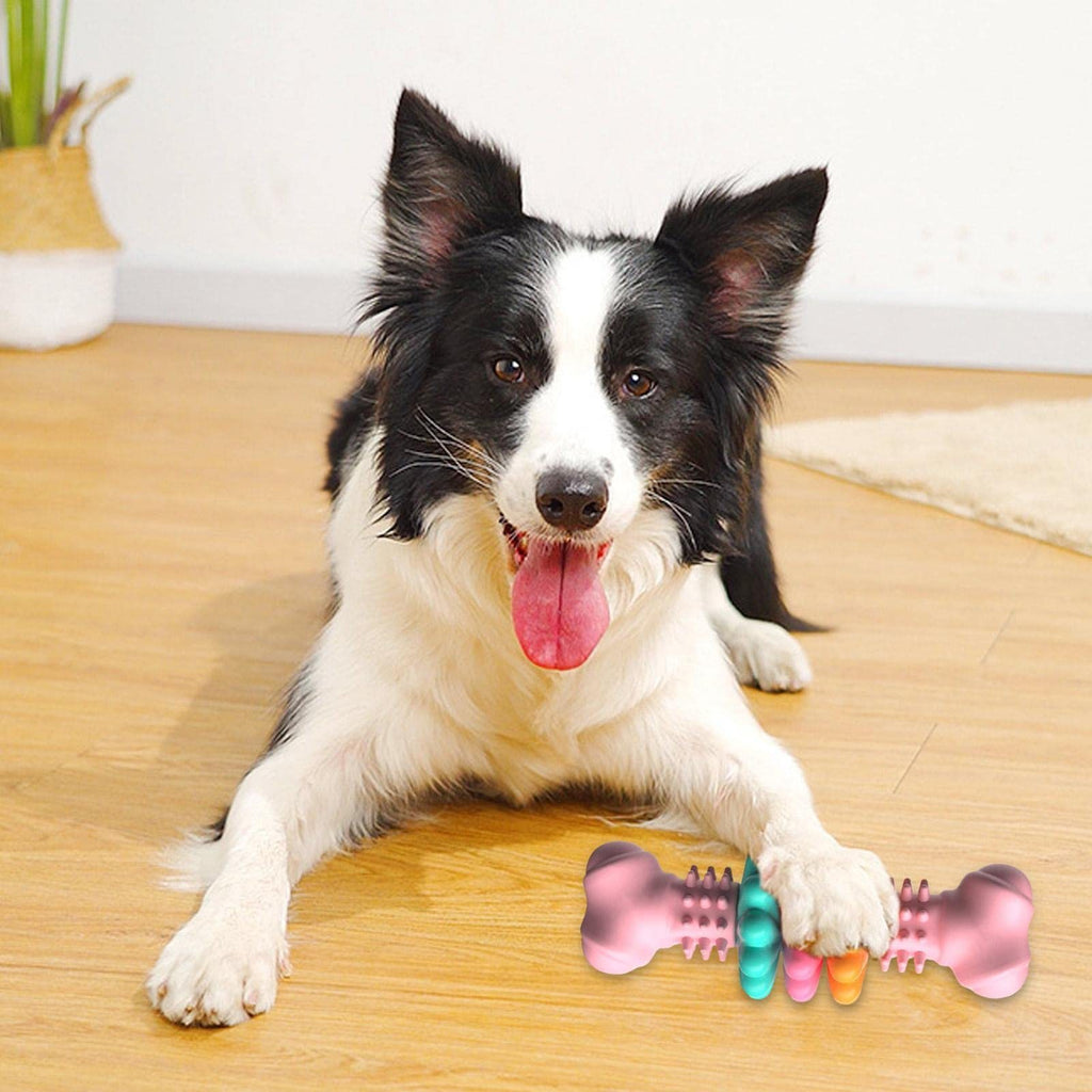 Strong Dental Chew Bone — Clean Teeth Without Damage