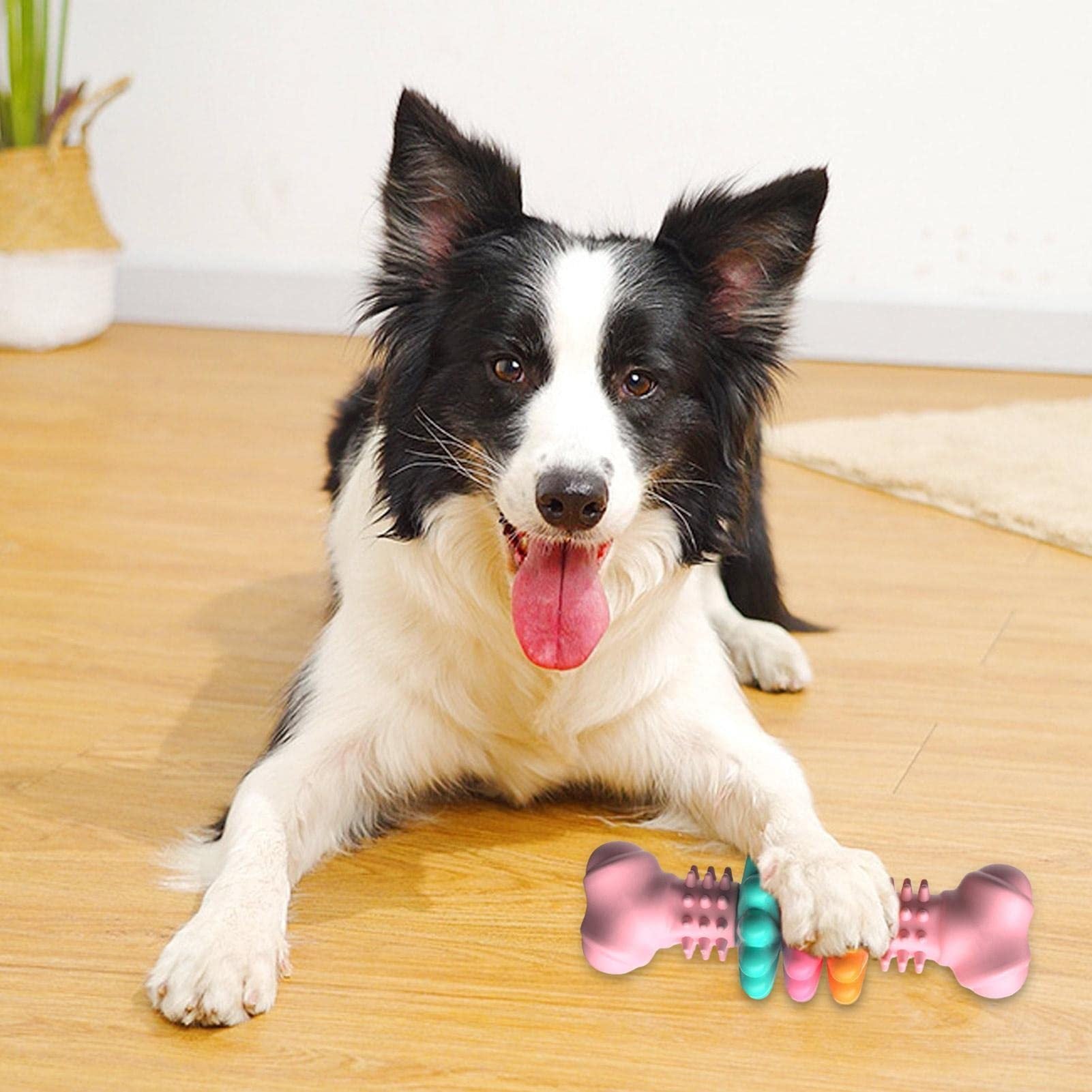 Strong Dental Chew Bone — Clean Teeth Without Damage