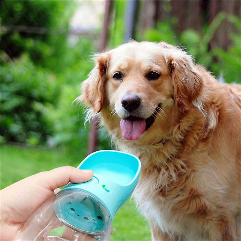 Fresh Water On-The-Go for Dogs & Cats
