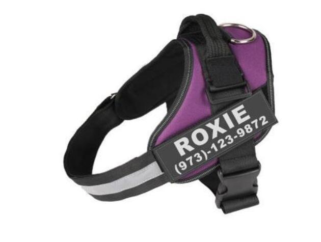 Personalized Reflective No-Pull Harness — Safe, Stylish Walks
