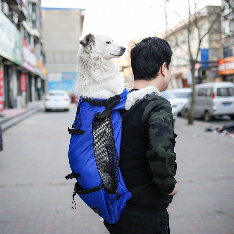 Cozy Travel Backpack for Happy Dogs on the Go