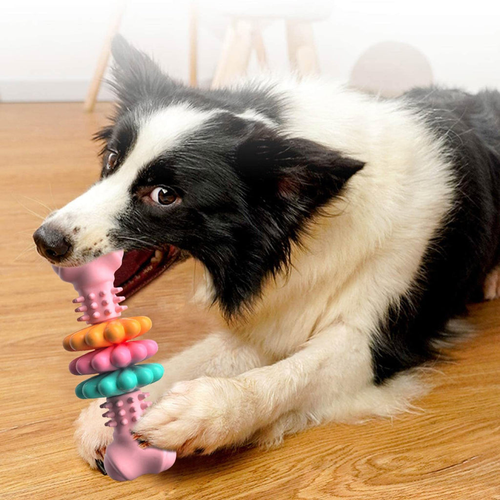 Strong Dental Chew Bone — Clean Teeth Without Damage